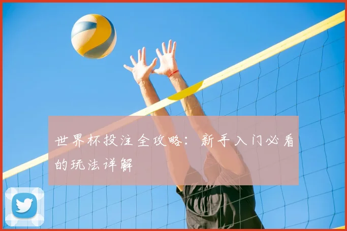 世界杯投注全攻略：新手入门必看的玩法详解